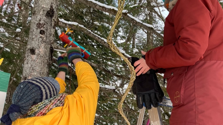 Nouvelle exposition Art Terre