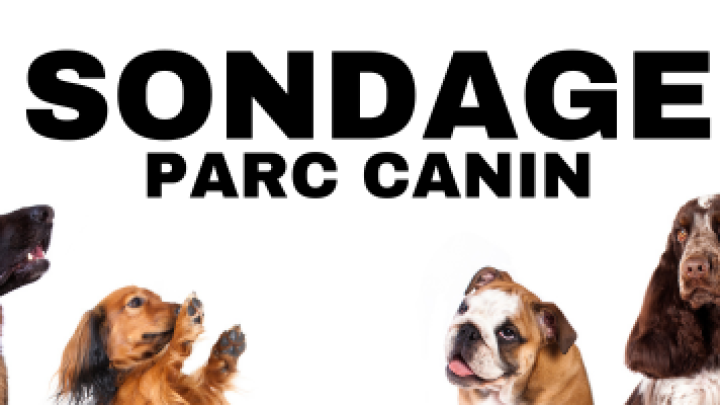 SONDAGE D'INTÉRÊT PARC CANIN