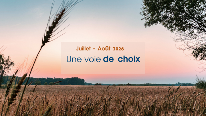 Le Journal municipal de juillet-août est maintenant disponible!