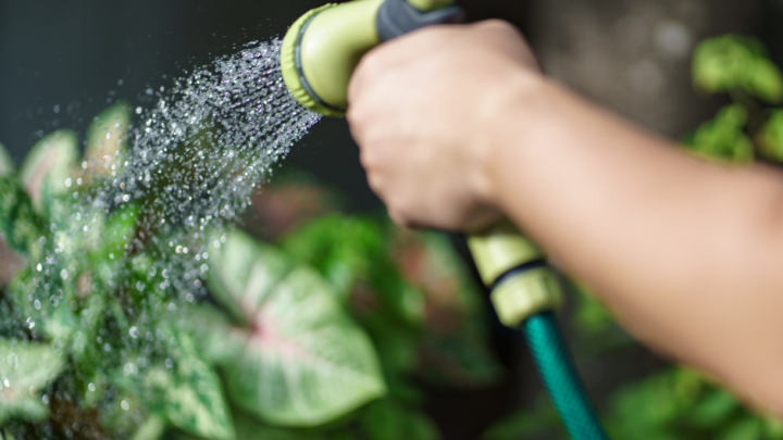 Économie d'eau potable : chaque geste compte!