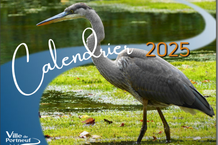 Concours photo - Calendrier 2025