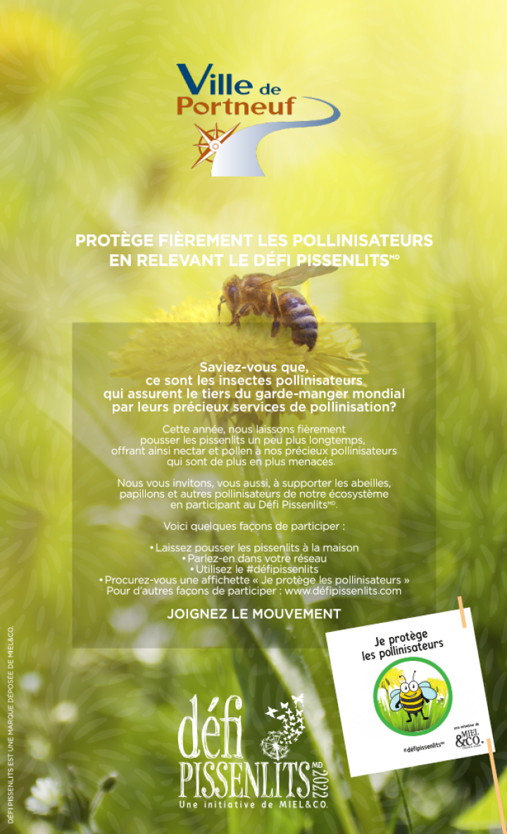 Défi pissenlits 2022!