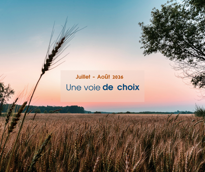 Le Journal municipal de juillet-août est maintenant disponible!