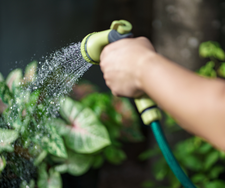 Économie d'eau potable : chaque geste compte!
